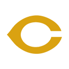 wishbone c (GOLD)  (1).png